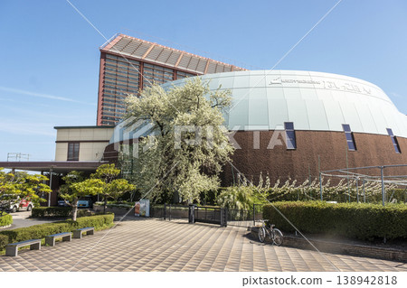 20世紀的梨花盛開,位於倉吉市梨樹館。 20世紀的梨花盛開,位於倉吉市梨樹館。 138942818