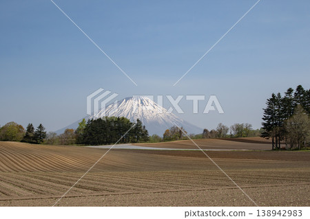 早春的羊蹄山 138942983