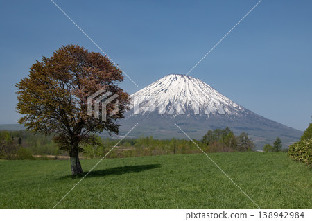 早春的羊蹄山 138942984