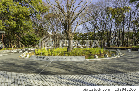 Nagoya city center, Shirakawa Park, wooden street corner, Nagoya City, Aichi Prefecture Nagoya city center, Shirakawa Park, wooden street corner, Nagoya City, Aichi Prefecture 138943200