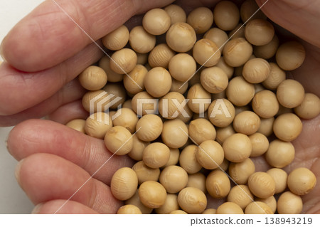 soybeans on palm soybeans on palm 138943219