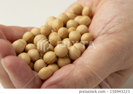 soybeans on palm soybeans on palm 138943223