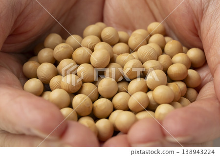 soybeans on palm soybeans on palm 138943224