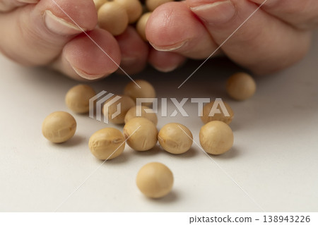 手掌上的大豆 手掌上的大豆 138943226