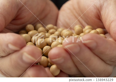手掌上的大豆 手掌上的大豆 138943229