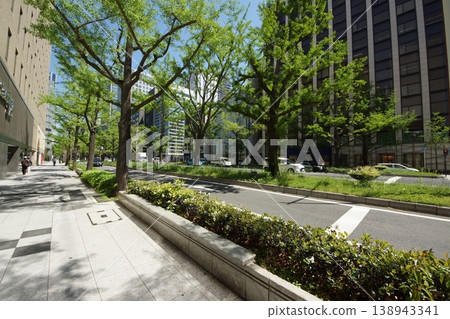 綠意盎然的御堂筋街景 綠意盎然的御堂筋街景 138943341