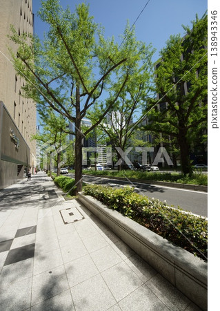 The Midosuji streetscape in the fresh greenery The Midosuji streetscape in the fresh greenery 138943346