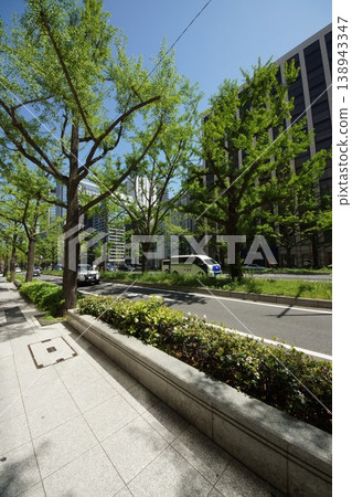 綠意盎然的御堂筋街景 138943347