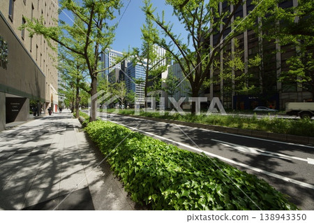 綠意盎然的御堂筋街景 綠意盎然的御堂筋街景 138943350