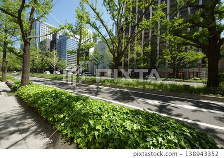 綠意盎然的御堂筋街景 綠意盎然的御堂筋街景 138943352
