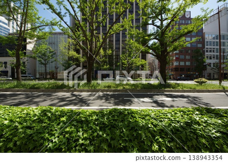 The Midosuji streetscape in the fresh greenery 138943354