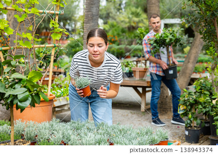 Young female customer near display case with helichrysum carefully selects pot with young seedlings. Young female customer near display case with helichrysum carefully selects pot with young seedlings. 138943374