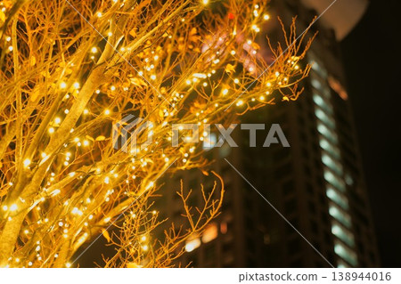 夜幕降臨,城市街道和行道樹被閃爍的燈光點亮。 夜幕降臨,城市街道和行道樹被閃爍的燈光點亮。 138944016