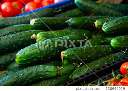 Fresh ripe cucumbers for sale Fresh ripe cucumbers for sale 138944019