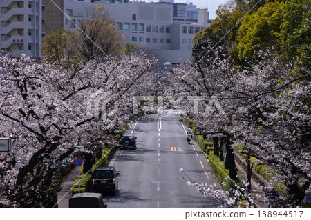 練馬區光丘公園附近的染井吉野櫻花已盛開70%。 練馬區光丘公園附近的染井吉野櫻花已盛開70%。 138944517
