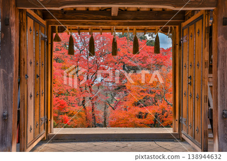 Open Wooden Gate Framing Autumn Red Maple Trees Nov 26 2025 138944632
