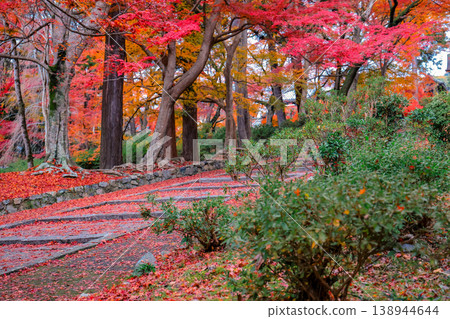Scenic Maple Boardwalk at Bishamon do Temple Kyoto Nov 26 2025 Scenic Maple Boardwalk at Bishamon do Temple Kyoto Nov 26 2025 138944644
