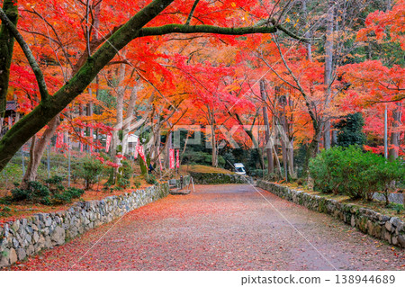 Scenic Maple Boardwalk at Bishamon do Temple Kyoto Nov 26 2025 Scenic Maple Boardwalk at Bishamon do Temple Kyoto Nov 26 2025 138944689