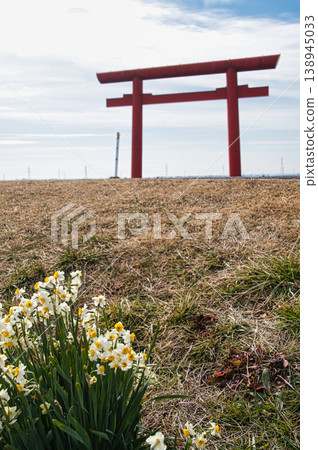 鹿島神宮一野鳥居 鹿島神宮一野鳥居 138945033