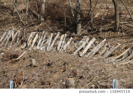 A scene of trees being felled in a forest; images of wood materials. A scene of trees being felled in a forest; images of wood materials. 138945519