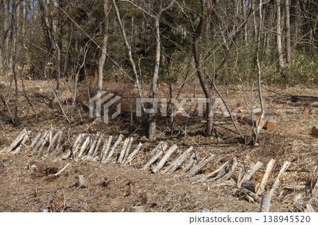 A scene of trees being felled in a forest; images of wood materials. A scene of trees being felled in a forest; images of wood materials. 138945520