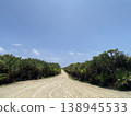 沖繩一條綠樹環繞的公路，藍天白雲，構成了一個熱帶風光。 138945533