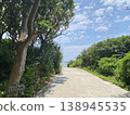 一條通往沖繩海邊的道路，沿途盡是熱帶地區鬱鬱蔥蔥的綠色植物。這是通往海灘的沿途風景。 138945535