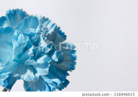 It is a blue carnation . It is a blue carnation . 138946015