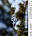 Icicles hanging from a tree 138946171