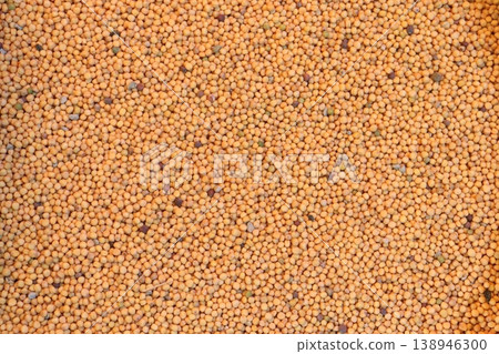 mustard seed on shop for sell are cash crops mustard seed on shop for sell are cash crops 138946300