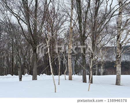 Annupuri ski resort, Niseko, Hokkaido, Japan 138946378