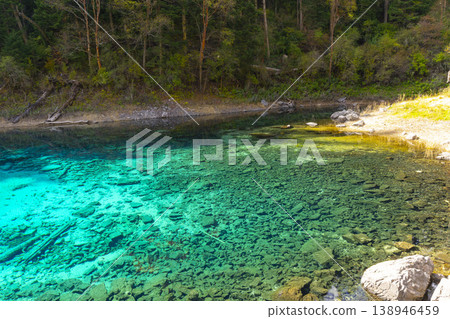 Fantastic view of the Five Colored Pool (the Colorful Pond) with azure crystal clear water among fall woods and evergreen forest in Jiuzhai Valley National Park in China. 138946459