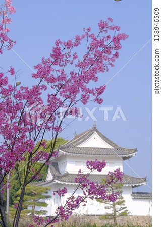 春日里的二城東南角樓 138946509