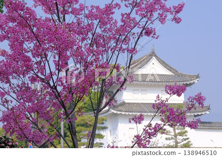 春日里的二城東南角樓 138946510