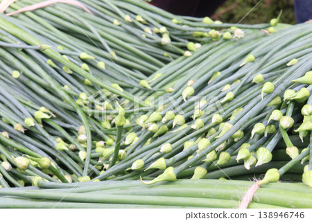onion leaf bundle on shop for sell, harvest are cash crops onion leaf bundle on shop for sell, harvest are cash crops 138946746
