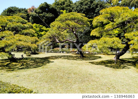 Spring Ise Shrine 138946863