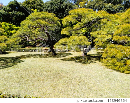 春天伊勢神社 138946864