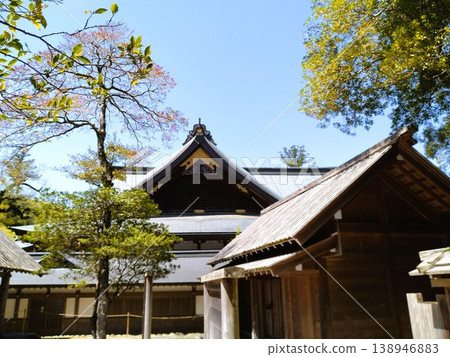 Spring Ise Shrine 138946883