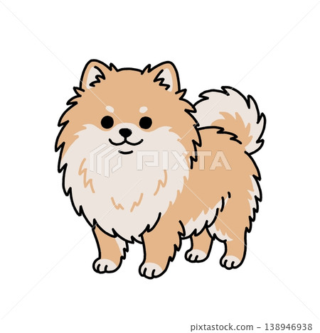 站立的博美犬插圖 138946938