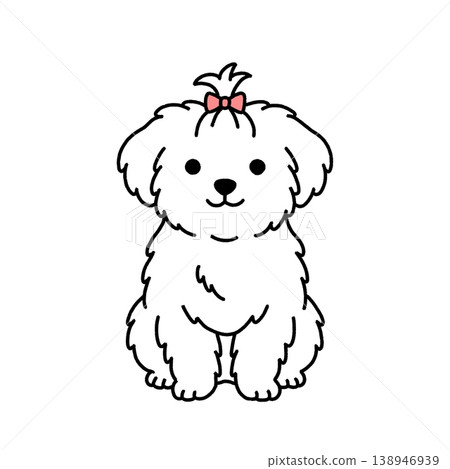 馬爾濟斯犬坐姿的插圖 馬爾濟斯犬坐姿的插圖 138946939