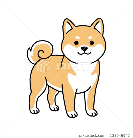 An illustration of a cute standing Shiba Inu. 138946942