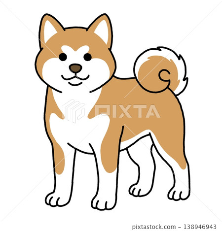 一幅姿態端莊的秋田犬站立插圖。 一幅姿態端莊的秋田犬站立插圖。 138946943