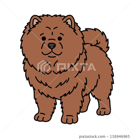 一隻毛茸茸的鬆獅犬插圖 一隻毛茸茸的鬆獅犬插圖 138946965