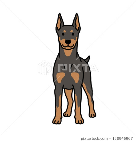 A dignified illustration of a Doberman. A dignified illustration of a Doberman. 138946967