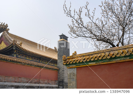 A blooming pear tree behind a wall in the Forbidden City in Beijing, China A blooming pear tree behind a wall in the Forbidden City in Beijing, China 138947096