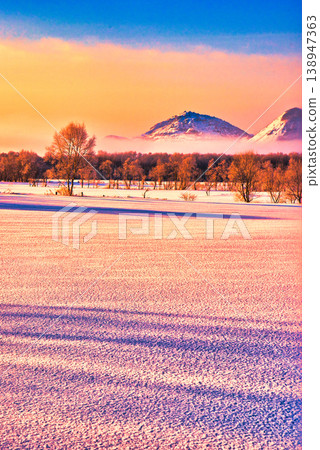冬日清晨，北海道美麗的雪景。 138947363