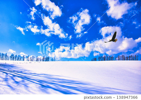 北海道冬季深雪美景 北海道冬季深雪美景 138947366