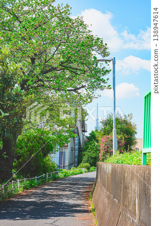 初夏時節，晴空萬裡，東京葛飾區中川的景色。 138947614