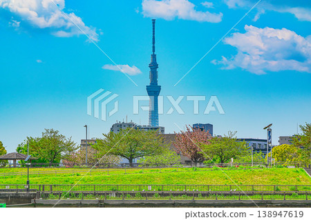 初夏時節，晴空萬裡，東京葛飾區中川的景色。 138947619