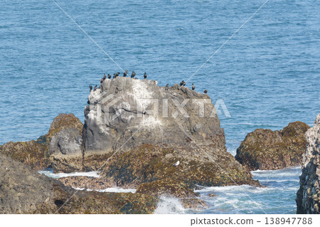 Rocky reefs and seabirds as seen from Kiritappu Cape Rocky reefs and seabirds as seen from Kiritappu Cape 138947788